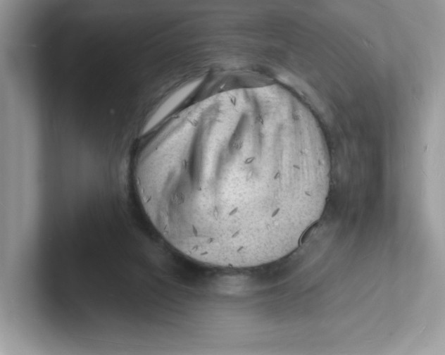 X0000101470066200807281028