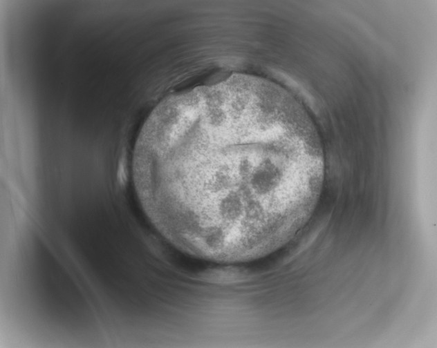 X0000101470069200807281028