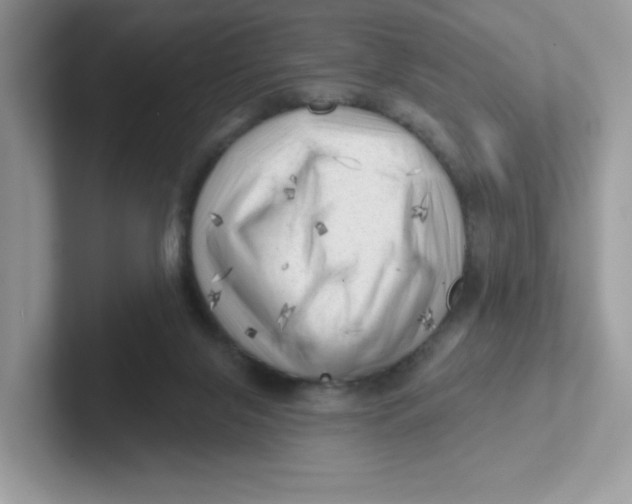 X0000101470071200807281028