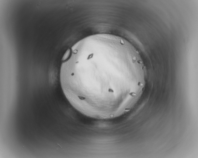 X0000101470073200807281028