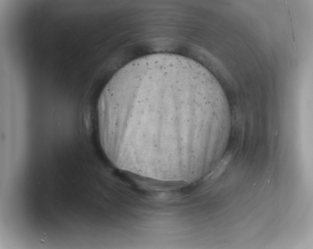 X0000101470074200807281028