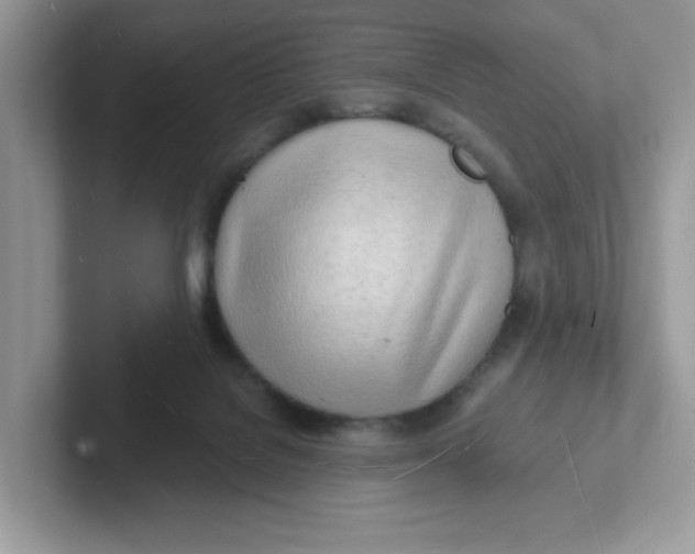 X0000101470076200807281028