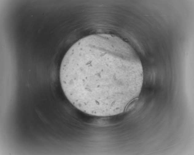 X0000101470078200807281028