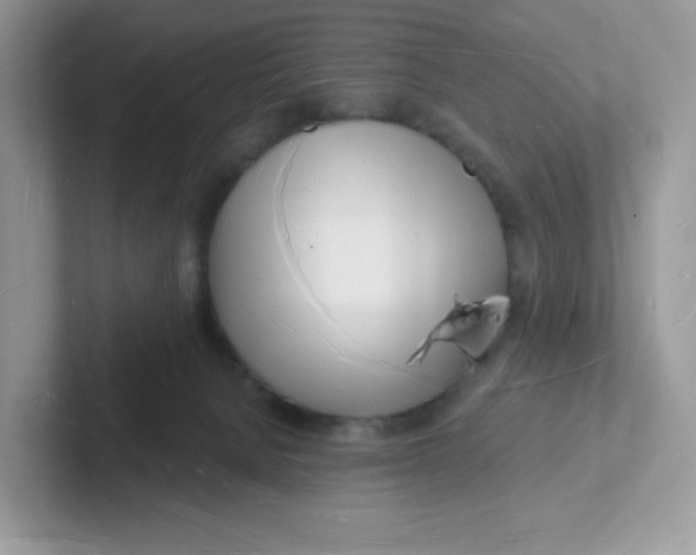 X0000101470080200807281028