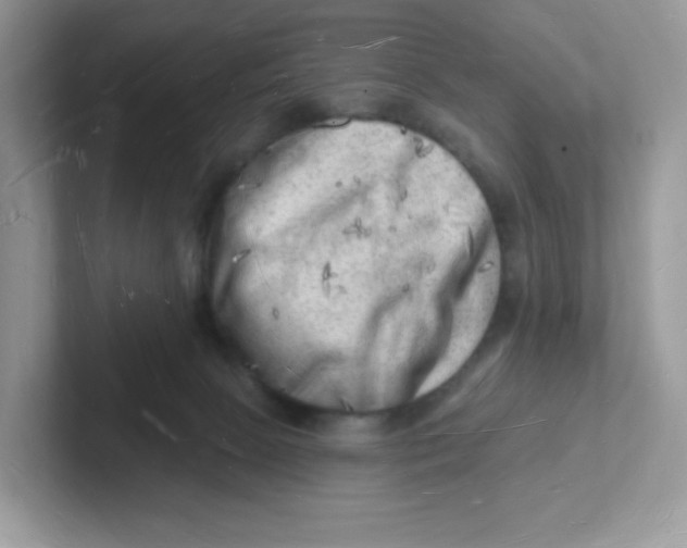 X0000101470081200807281028