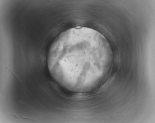 X0000101470082200807281028