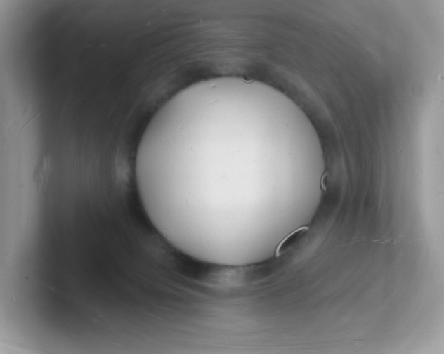 X0000101470084200807281028