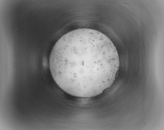 X0000101470089200807281028