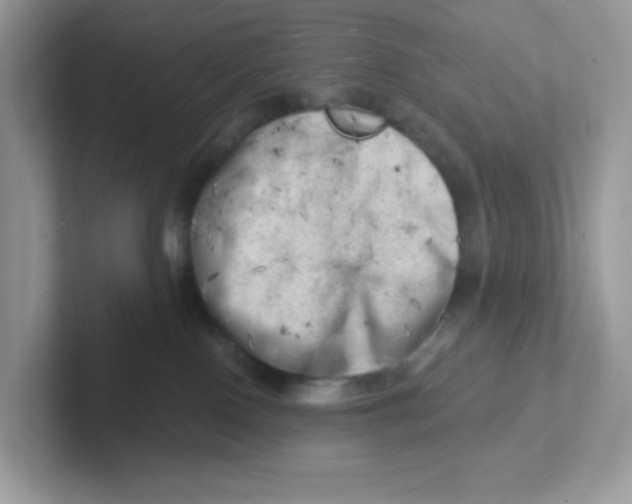 X0000101470090200807281028