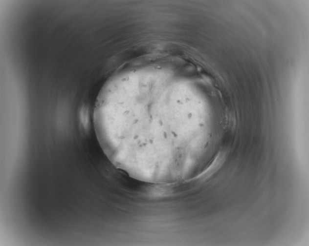 X0000101470094200807281028