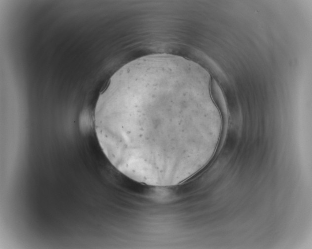 X0000101470095200807281028