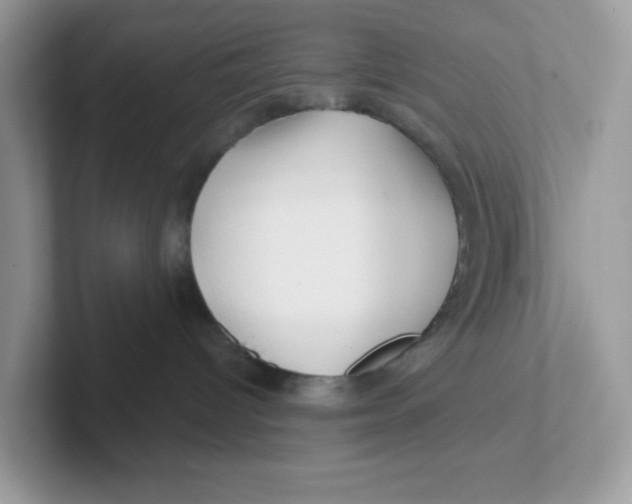 X0000101470096200807281028