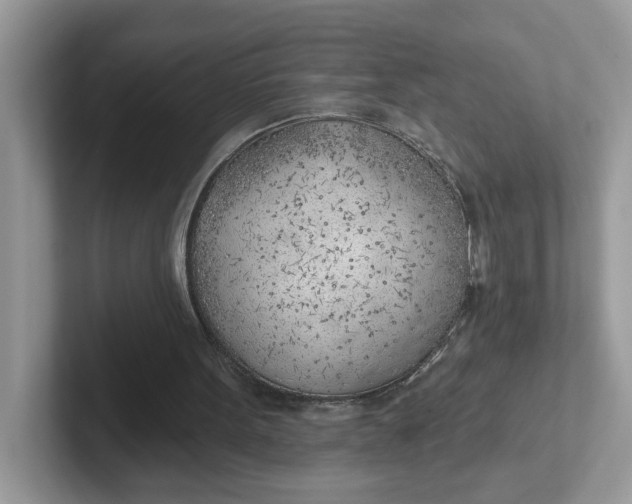 X0000101470099200807281027