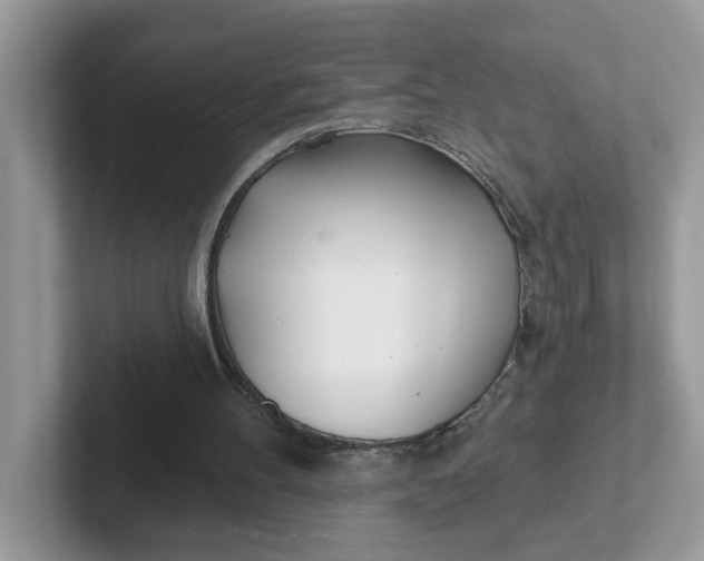 X0000101470100200807281027