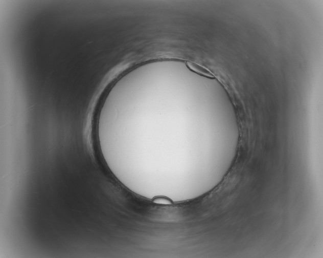 X0000101470104200807281027