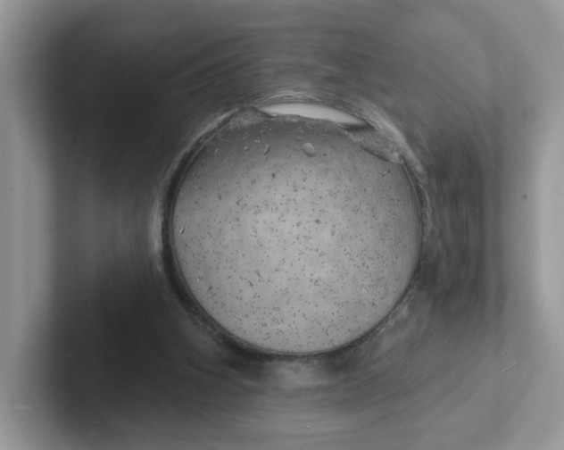 X0000101470106200807281027