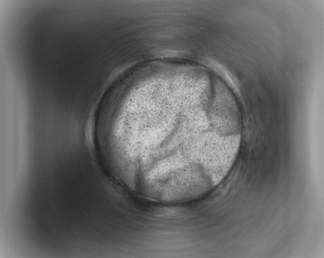 X0000101470107200807281027