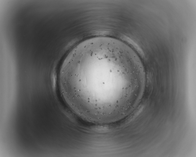 X0000101470110200807281027