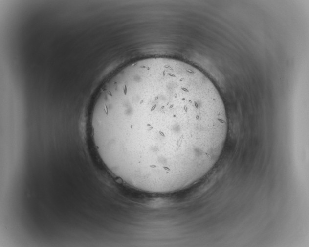 X0000101470111200807281027