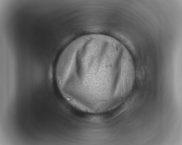 X0000101470115200807281027