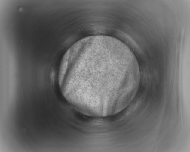 X0000101470123200807281027