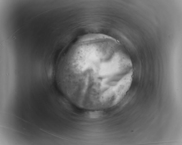 X0000101470134200807281027