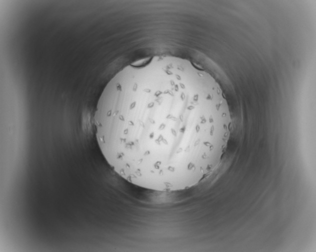 X0000101470142200807281027