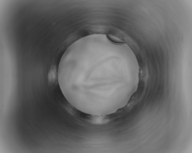 X0000101470143200807281027