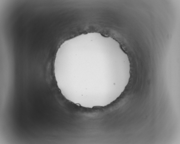 X0000101470144200807281027