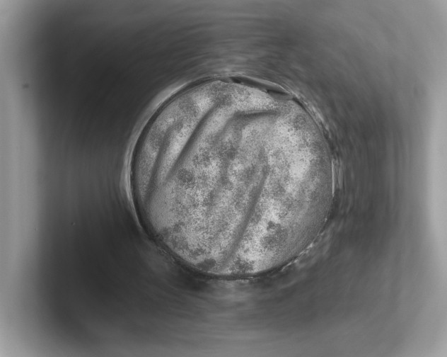 X0000101470147200807281026