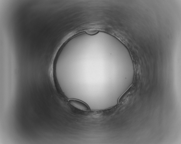 X0000101470148200807281026