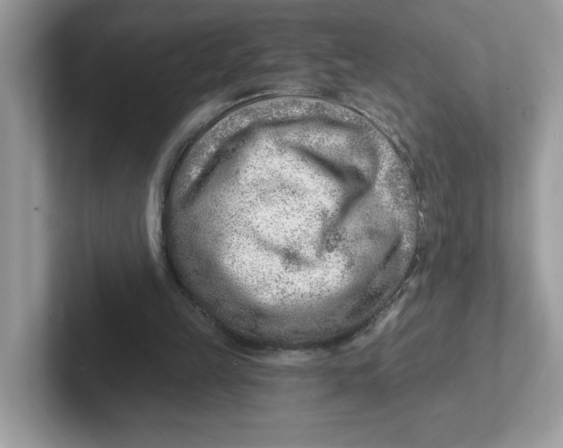 X0000101470149200807281026