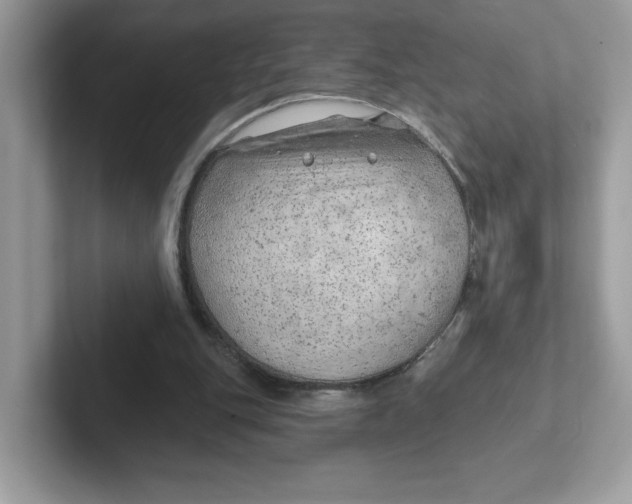 X0000101470151200807281026