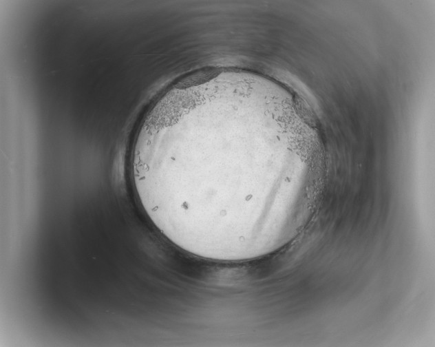 X0000101470155200807281026