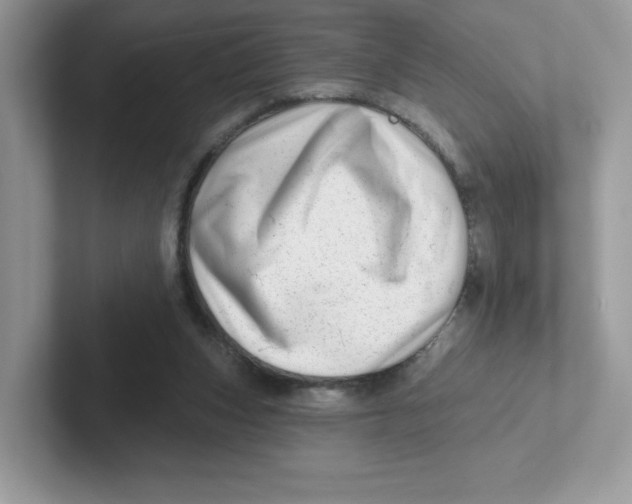 X0000101470159200807281026