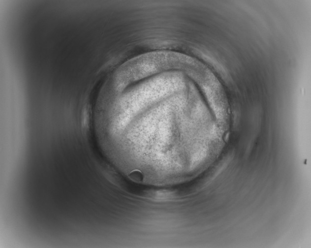 X0000101470165200807281026