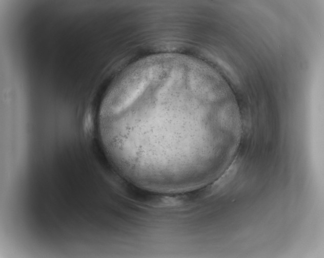 X0000101470166200807281026