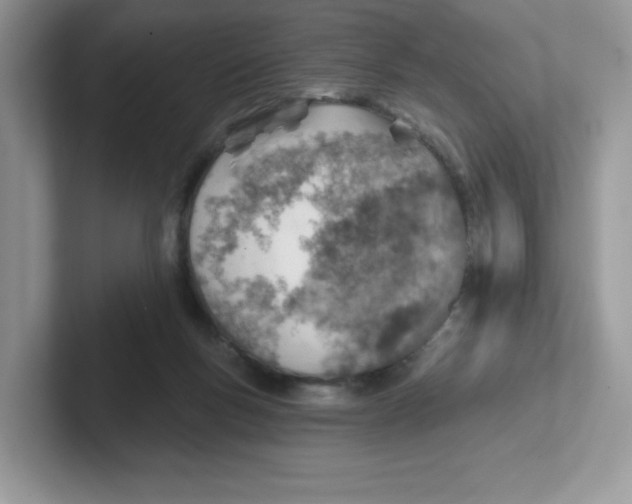 X0000101470167200807281026