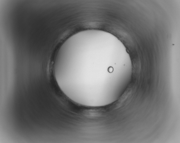 X0000101470168200807281026