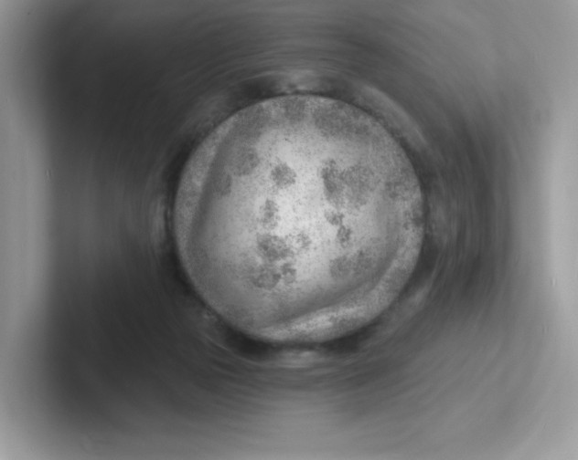 X0000101470169200807281026