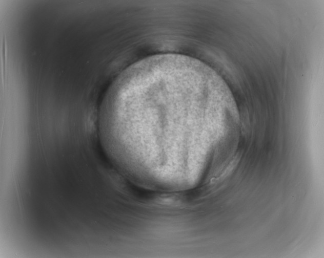 X0000101470175200807281026