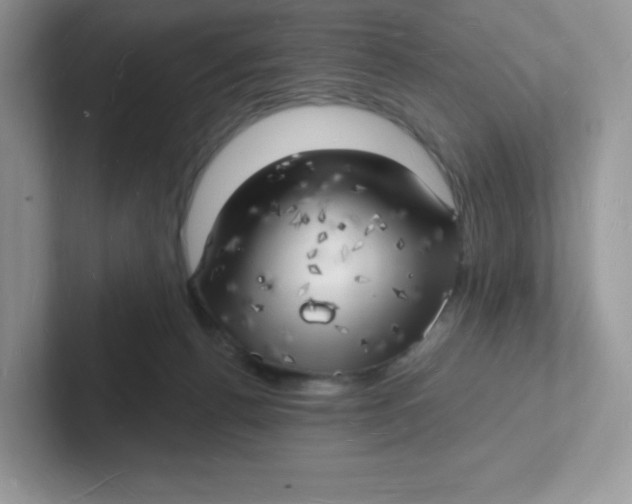 X0000101470176200807281026