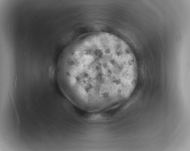 X0000101470177200807281027