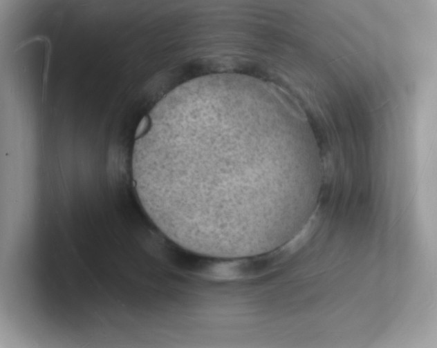 X0000101470178200807281027