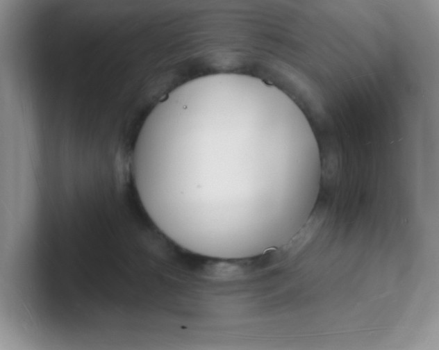 X0000101470180200807281027