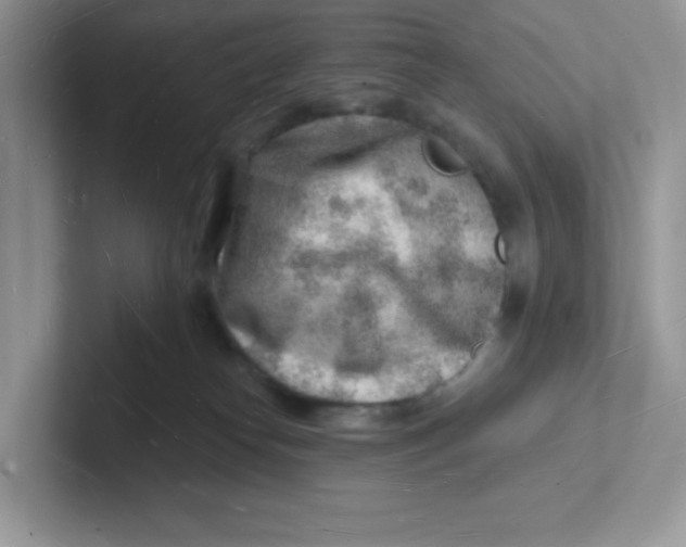 X0000101470182200807281027