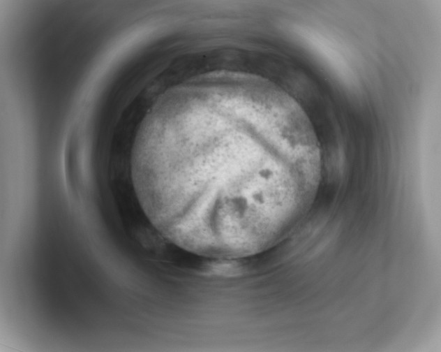 X0000101470189200807281027