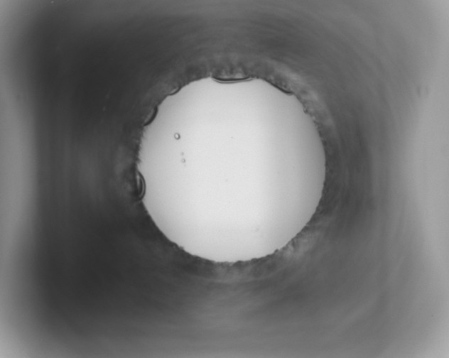 X0000101470192200807281027