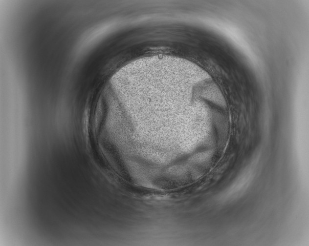 X0000101470194200807281026