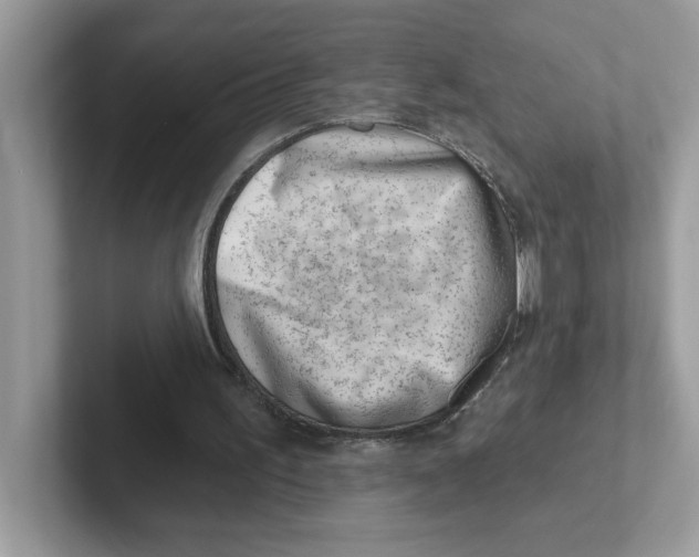 X0000101470195200807281026